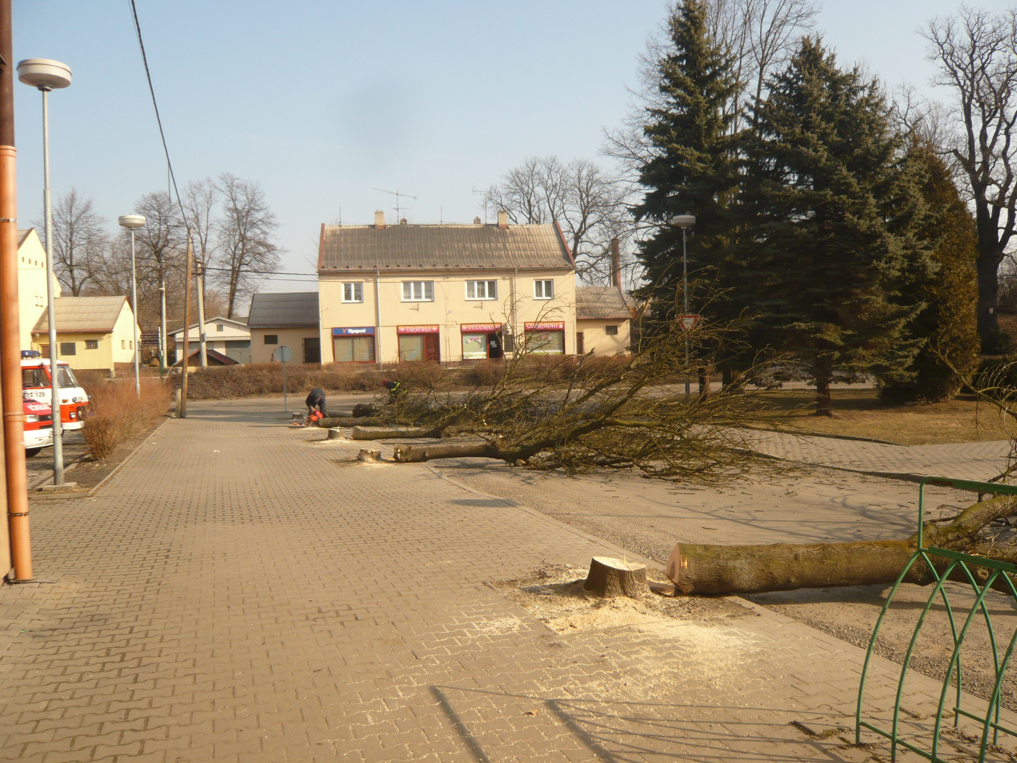 P1050353